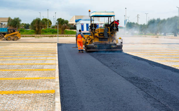 Best Driveway Paving Contractor  in Watertown, FL